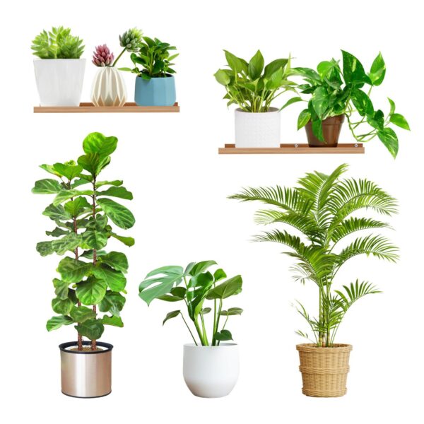 Potted Green Plant Removable 3D Wall stickers - Image 5