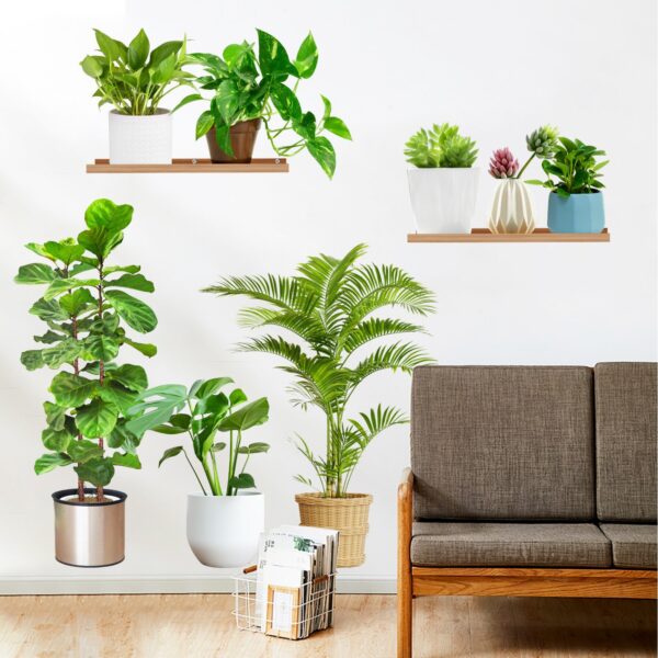 Potted Green Plant Removable 3D Wall stickers - Image 4